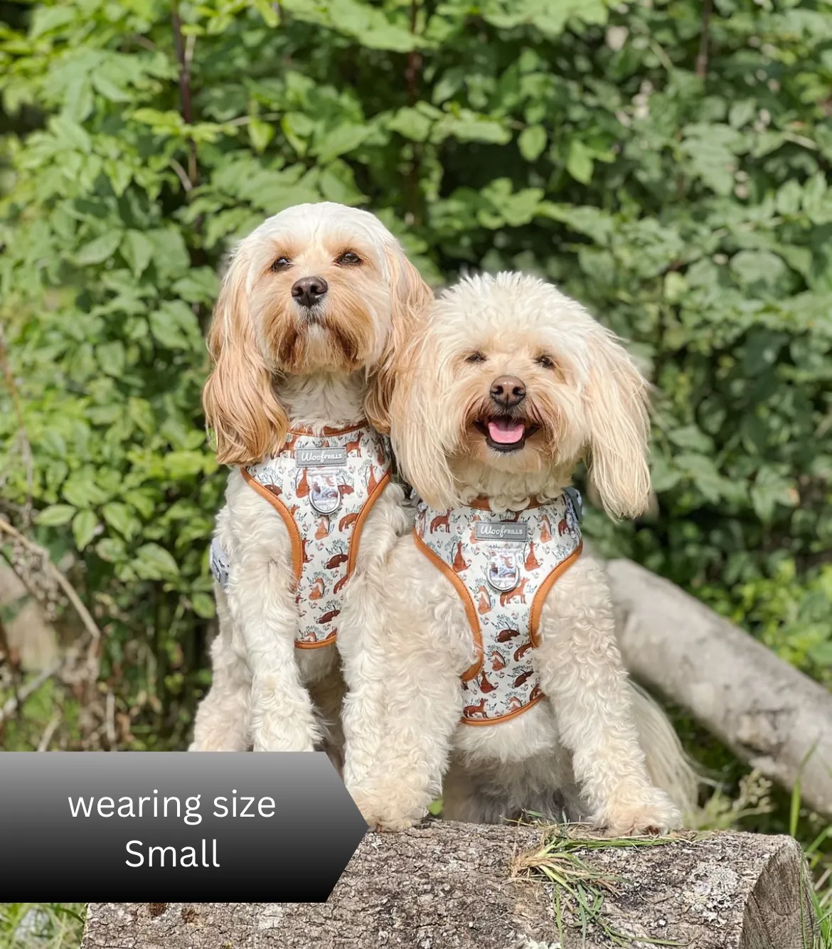 Dog harness , Dog collar and lead set | BUNDLE OF YOUR CHOICE | Enchanted fox
