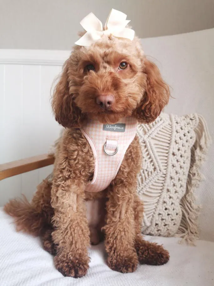 Dog Harness | Peach Please
