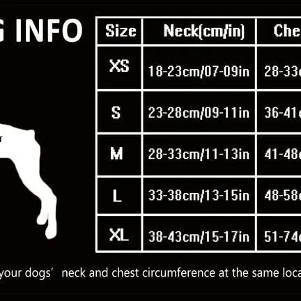 Dog Harness with Steel D Ring - Black, XS