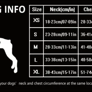 Dog Harness with Steel D Ring - Black, XS