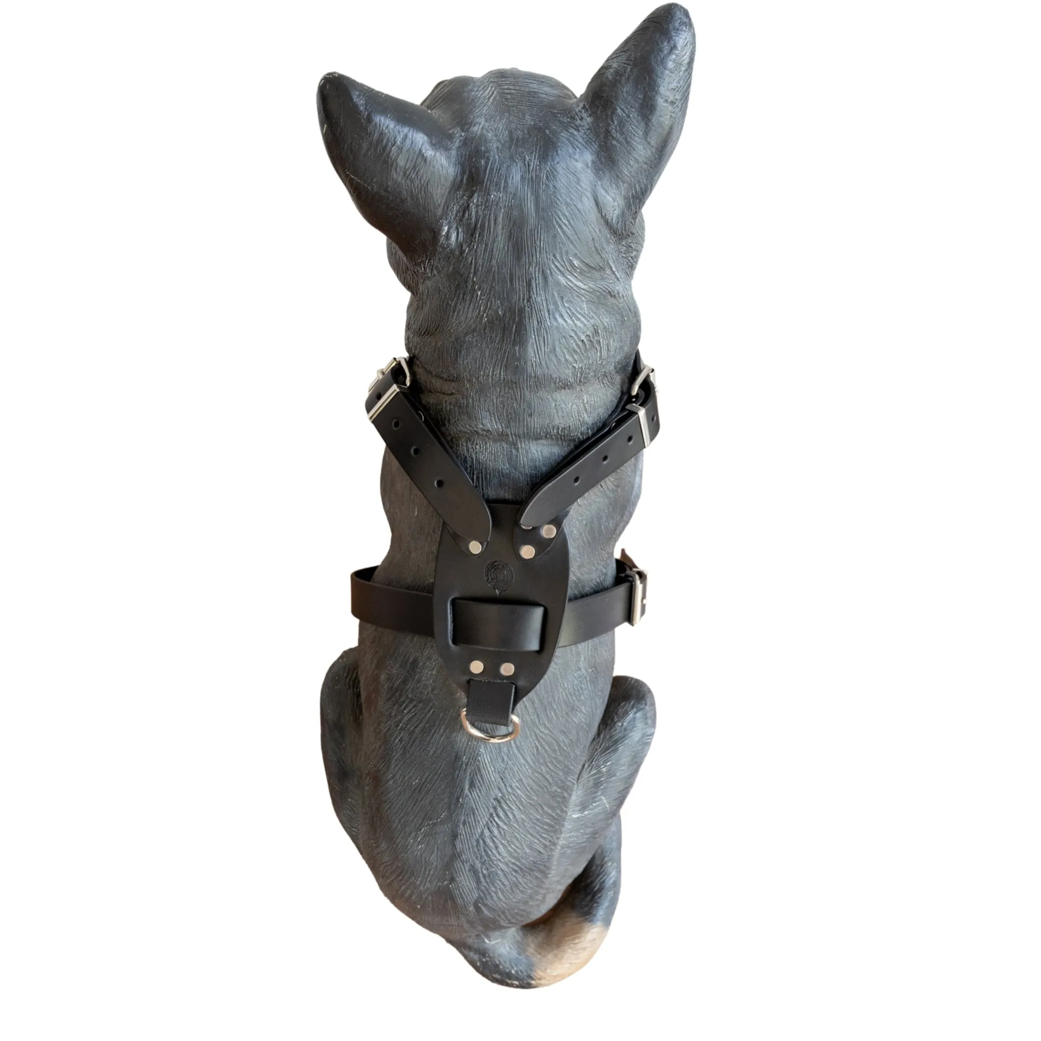 Dog Harness
