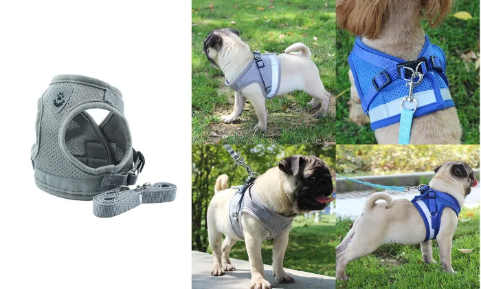 Dog Harness