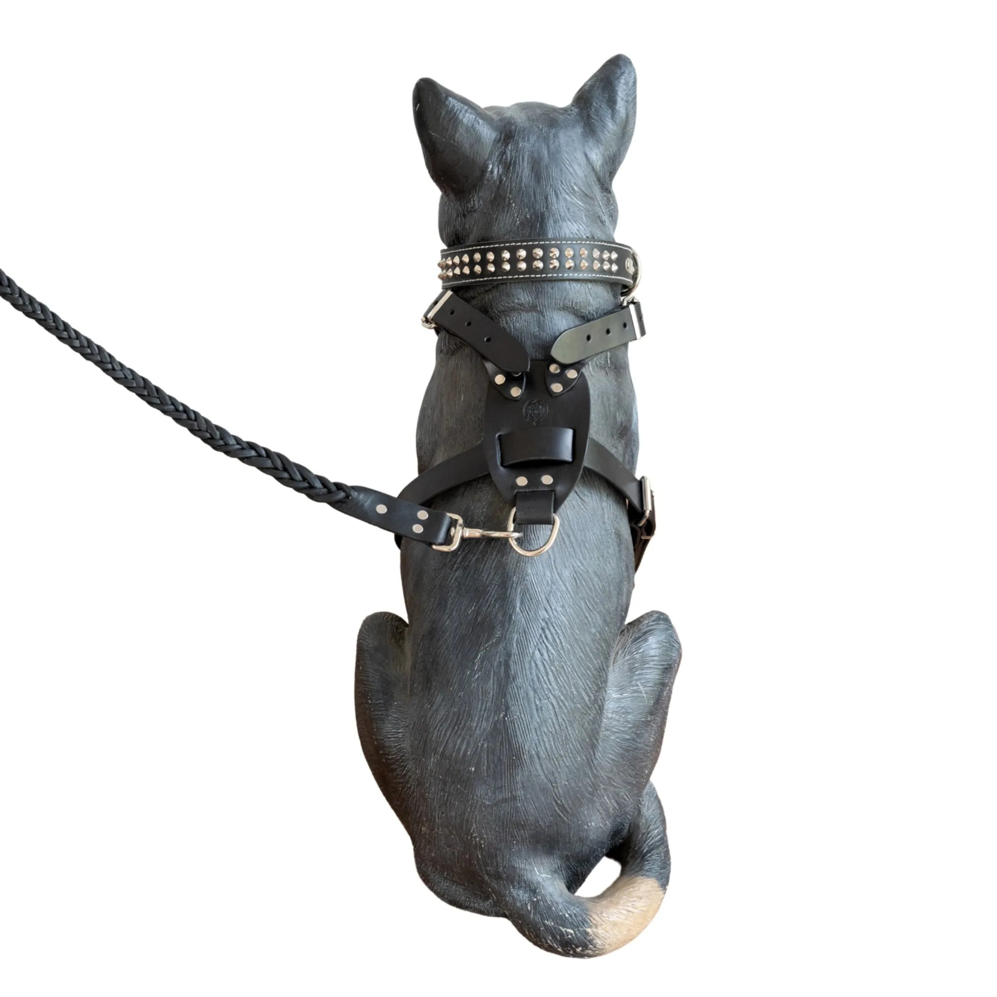 Dog Harness