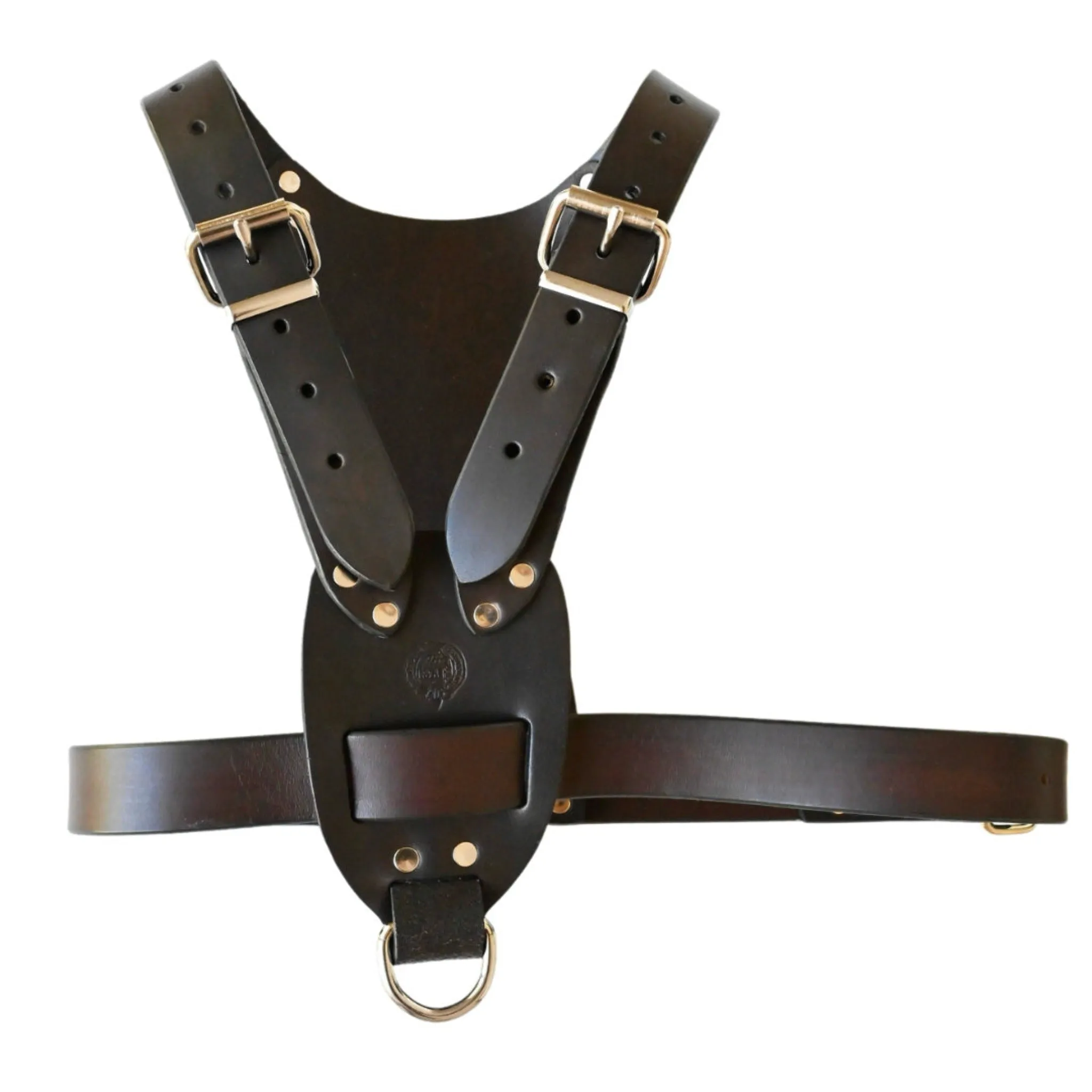 Dog Harness