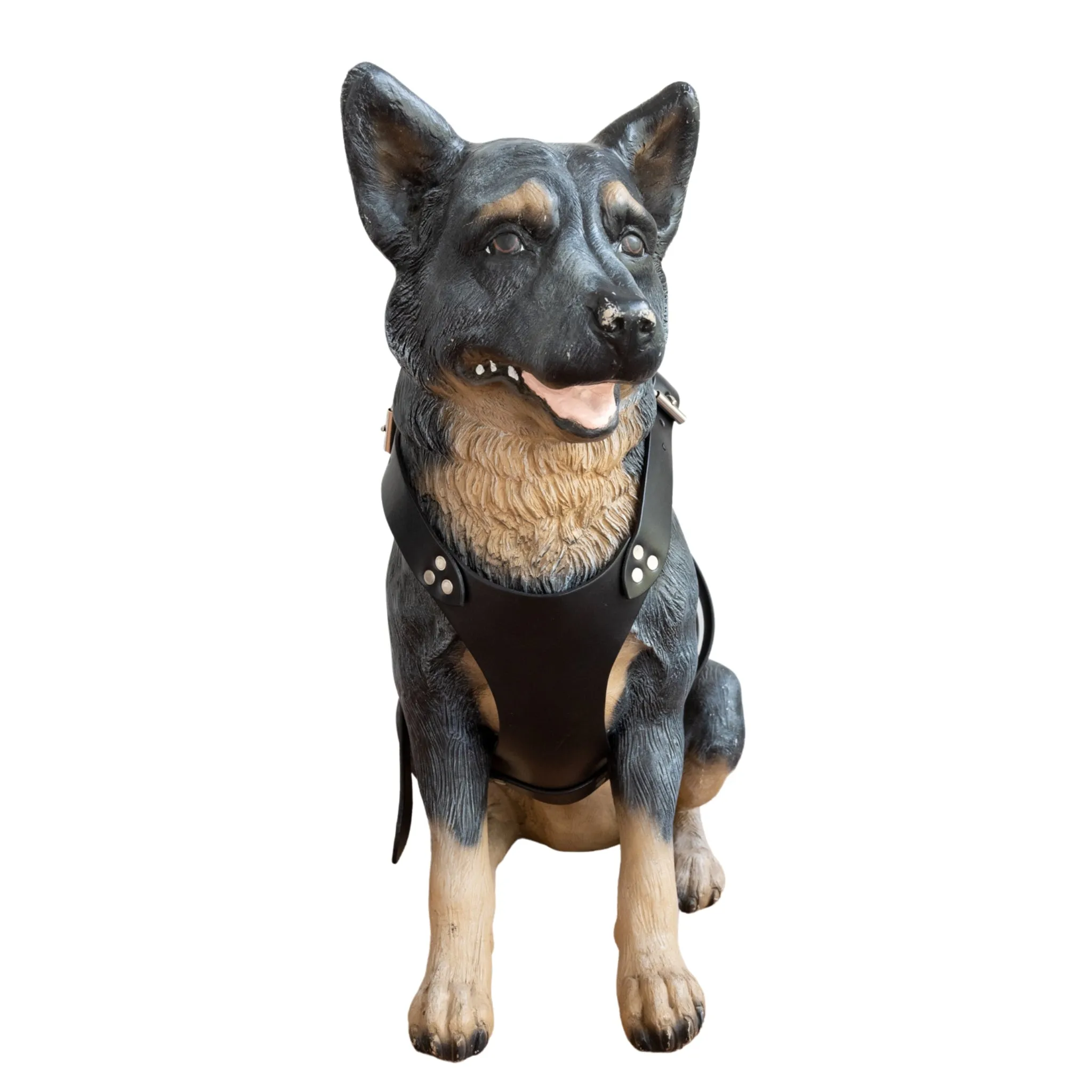 Dog Harness
