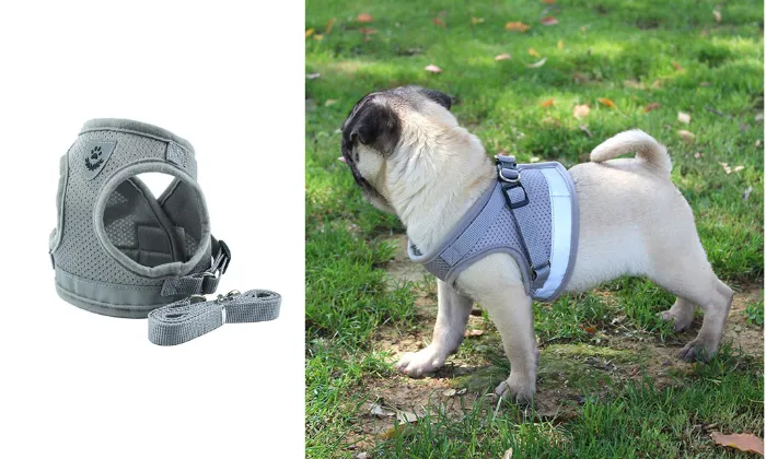 Dog Harness