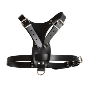 Dog Harness