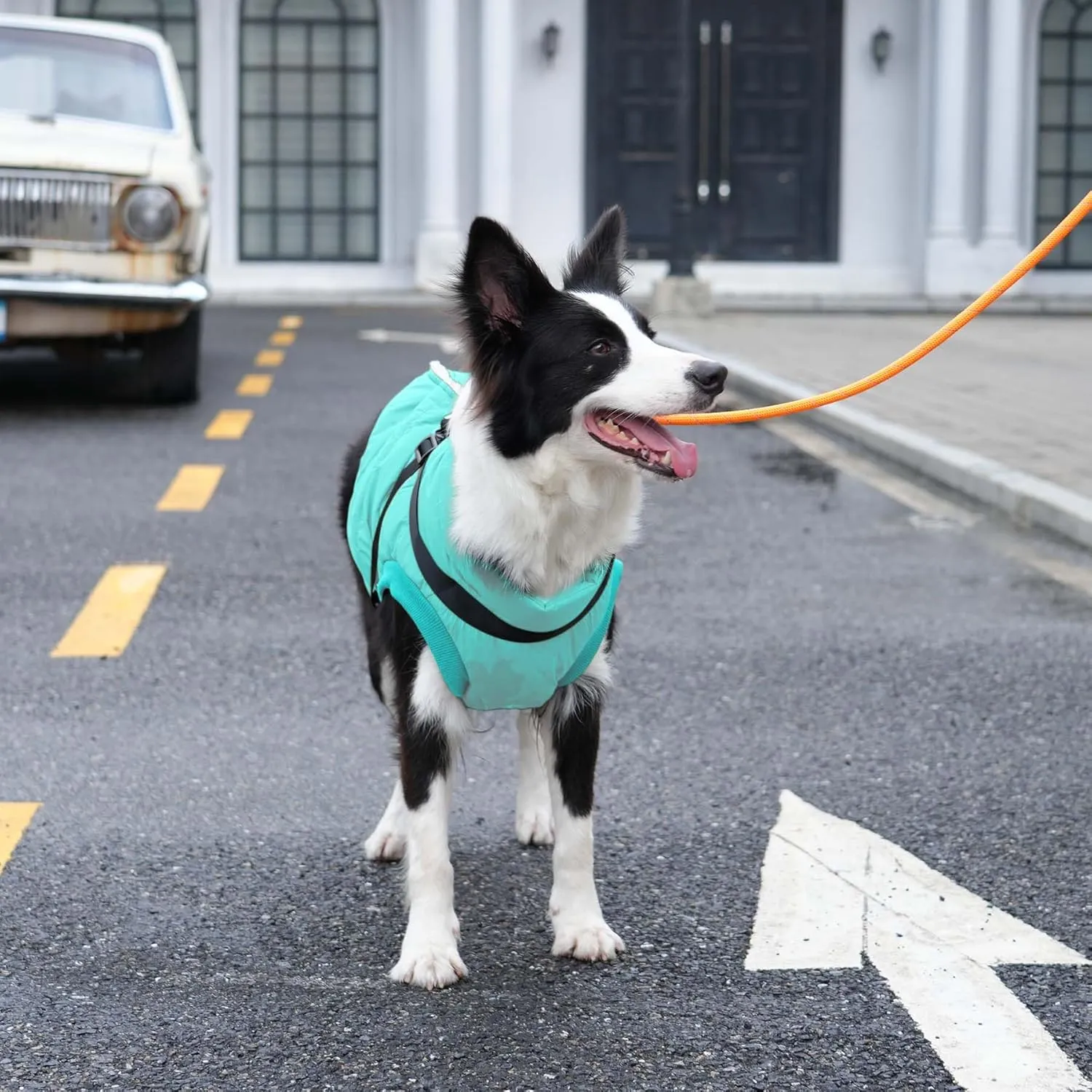 Dog Jacket with Harness,Fleece Lined Warm Puppy Coat for Winter,Soft Windproof Small Dog Vest,Bluegreen XS