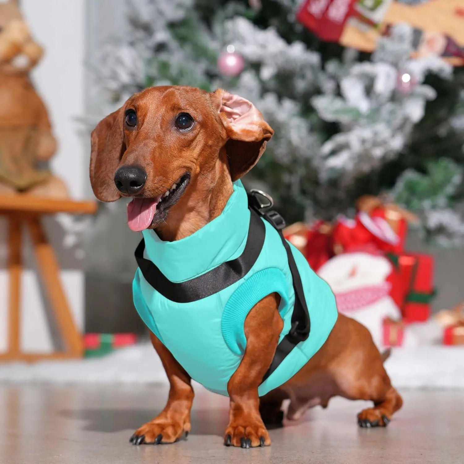 Dog Jacket with Harness,Fleece Lined Warm Puppy Coat for Winter,Soft Windproof Small Dog Vest,Bluegreen XS
