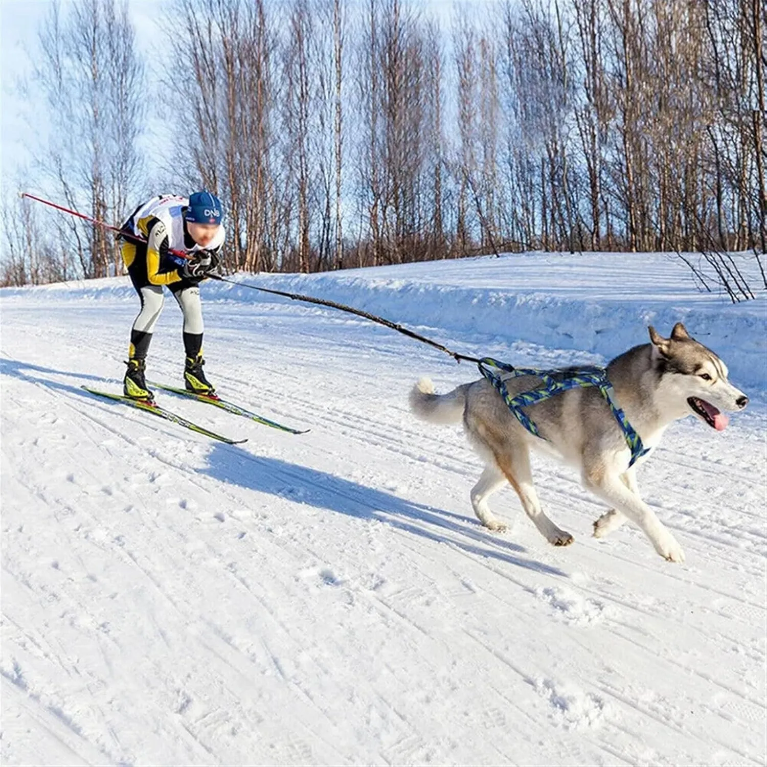 Dog Sledding Harness,Dog Pulling Harness Dog Weight Pulling Harness,Skijoring Speed Training,Work Out Dog Sled Harness for Medium,Large Dogs Harness(Blue,L)