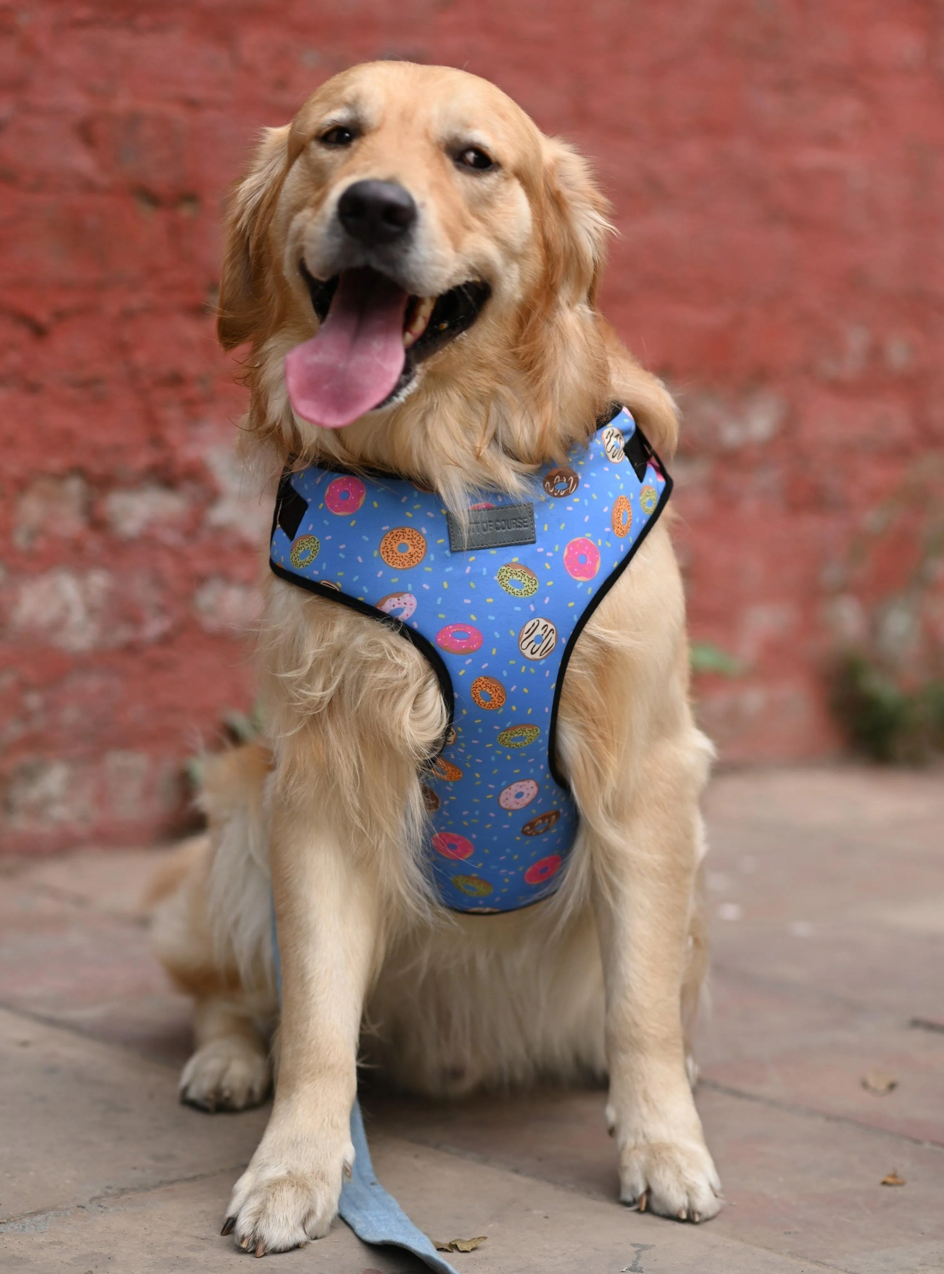 Donut Vest Harness   Leash Set