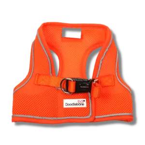 Doodlebone - Originals Snappy Harness - Tangerine