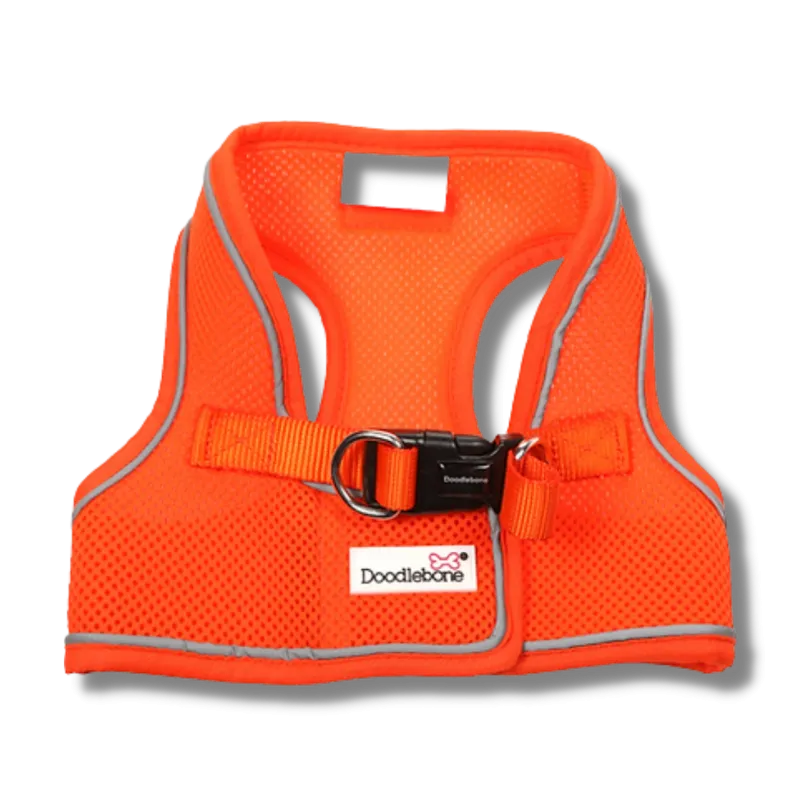 Doodlebone - Originals Snappy Harness - Tangerine
