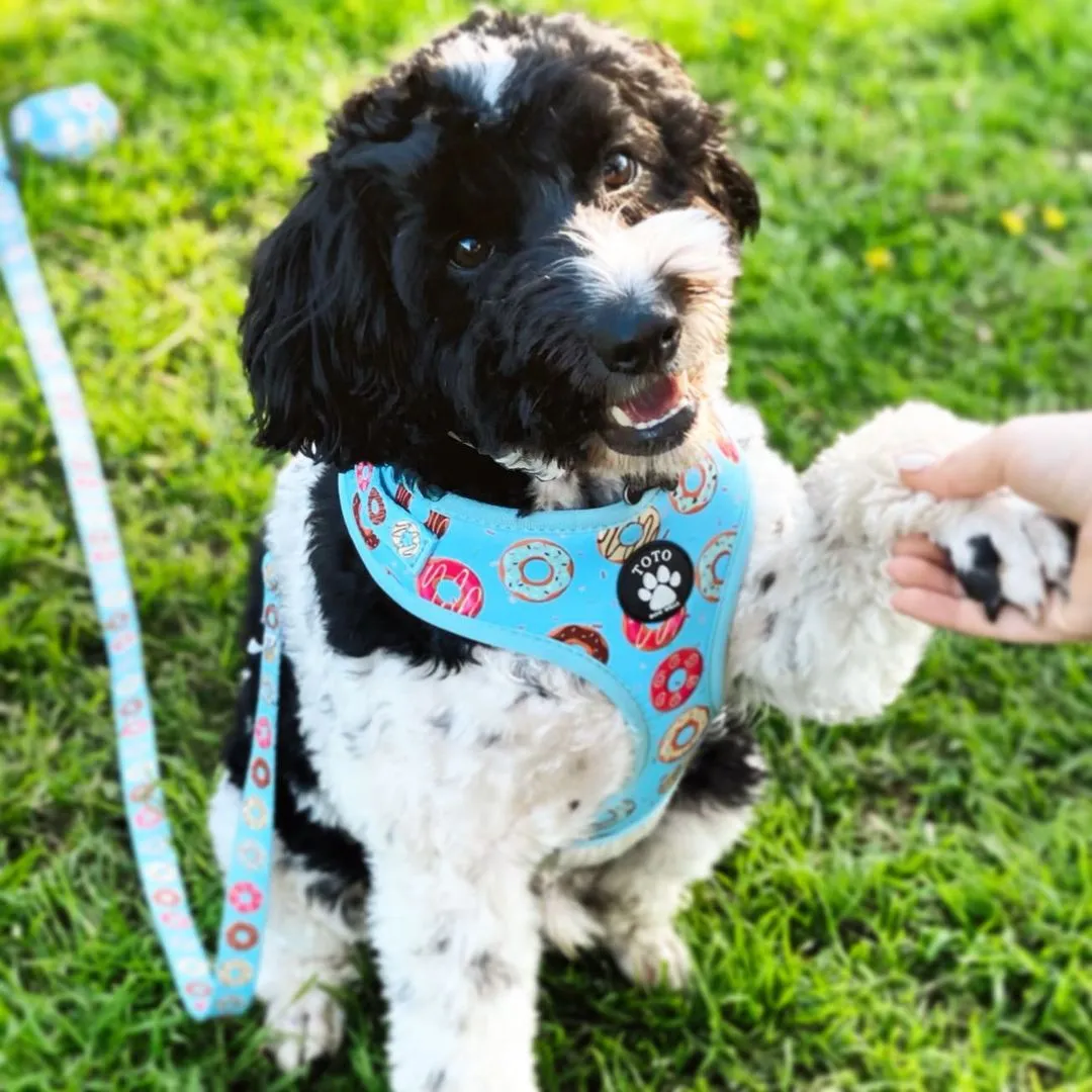 Doughnut Harness