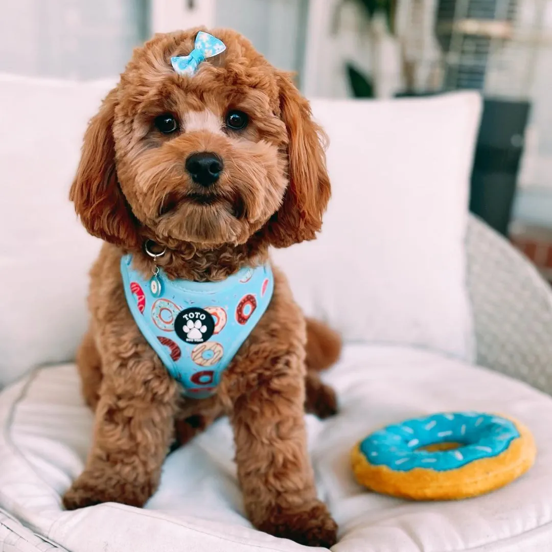 Doughnut Harness