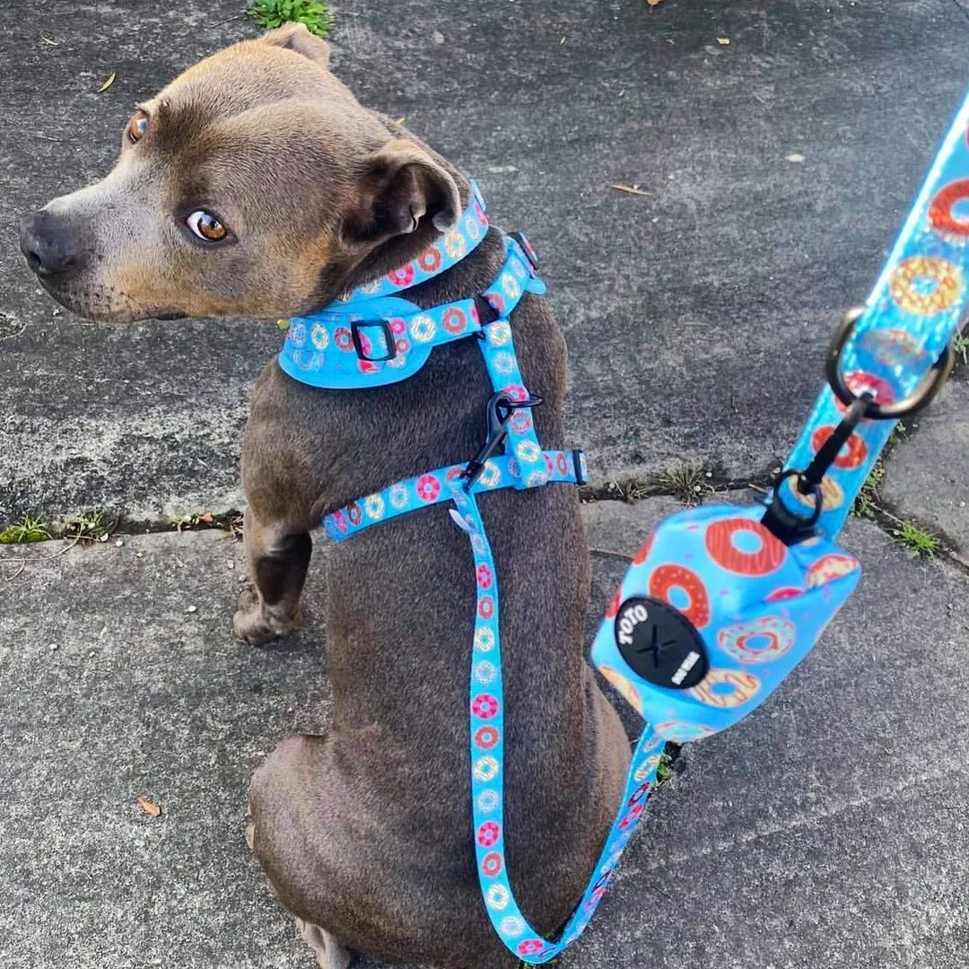 Doughnut Harness