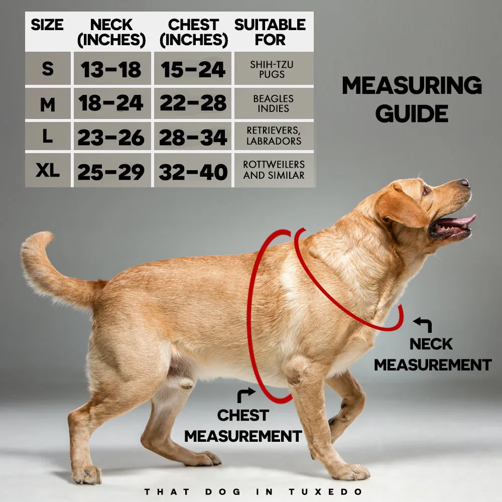 Easy Walk Step-In Name Harness - Orange
