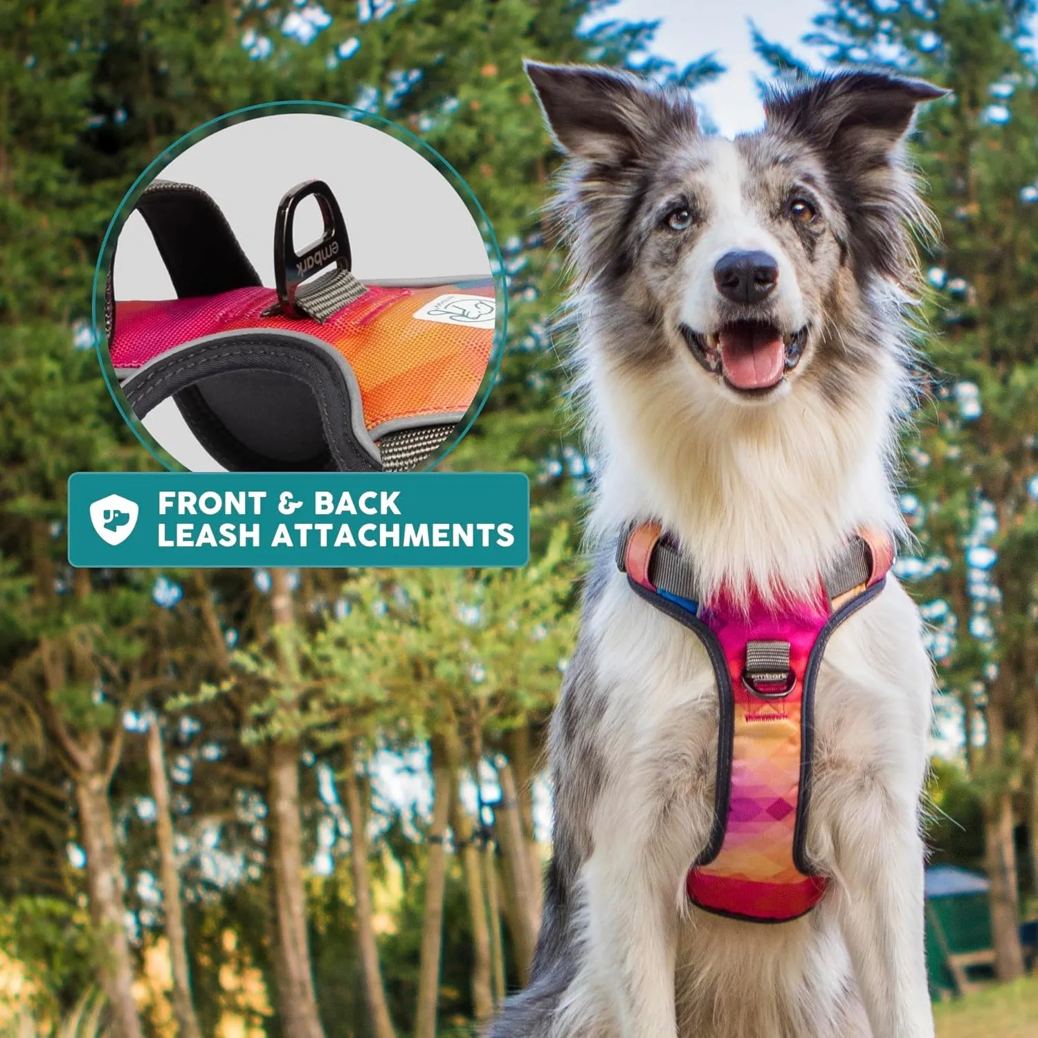 Embark Adventure Dog Harness, Reflective Trim No Pull Harness for Medium Sized Dog - Military Grade Nylon, Front Clip with Gel Lined Handle. Soft & Padded Puppy