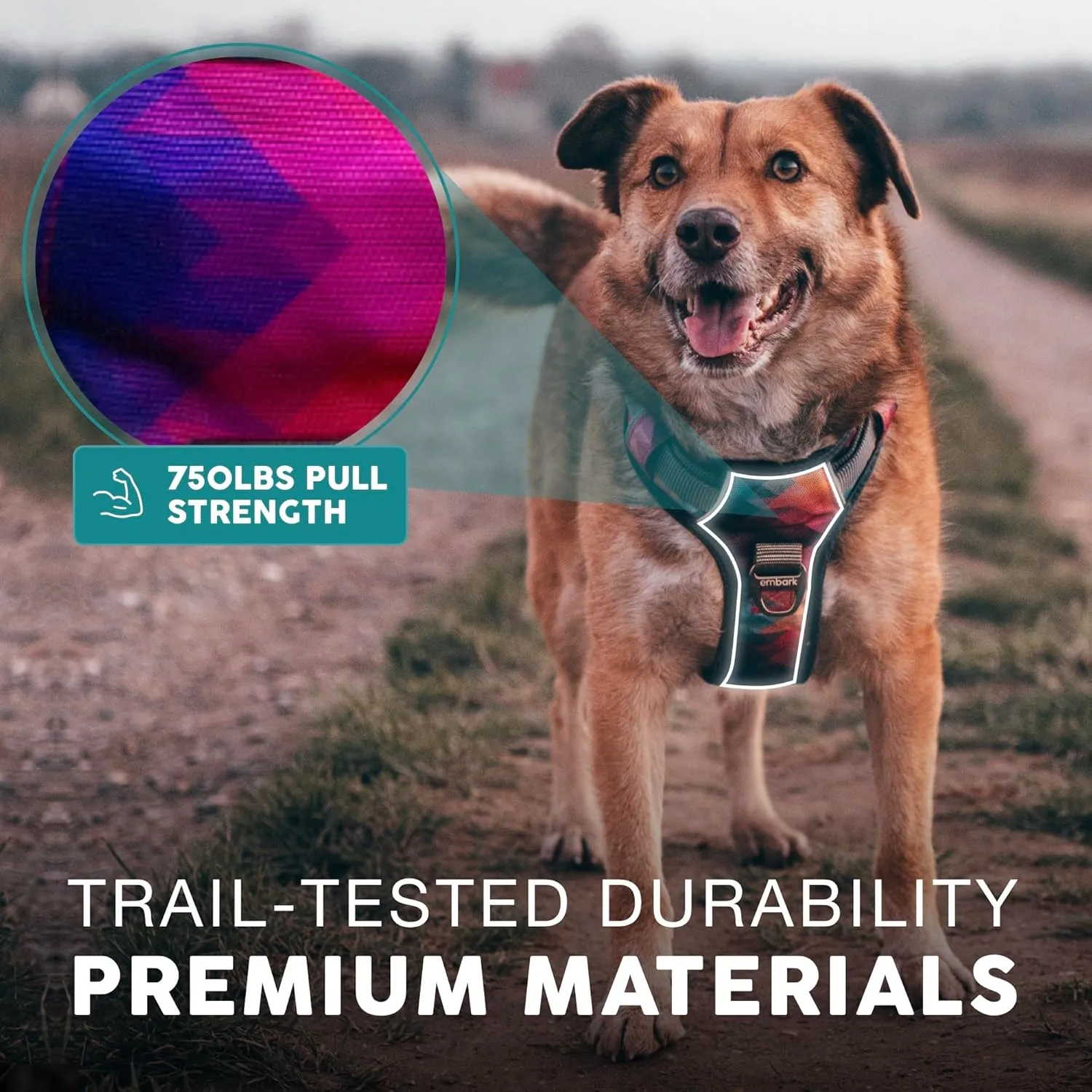 Embark Adventure Dog Harness, Reflective Trim No Pull Harness for Medium Sized Dog - Military Grade Nylon, Front Clip with Gel Lined Handle. Soft & Padded Puppy