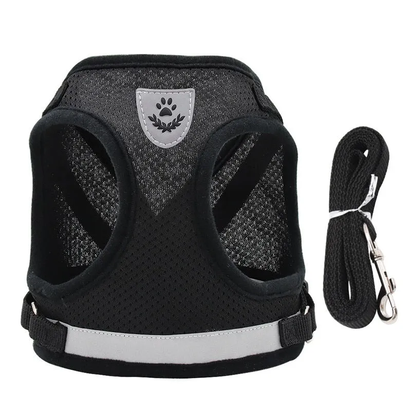 Escape-Proof Cat Harness & Leash Set
