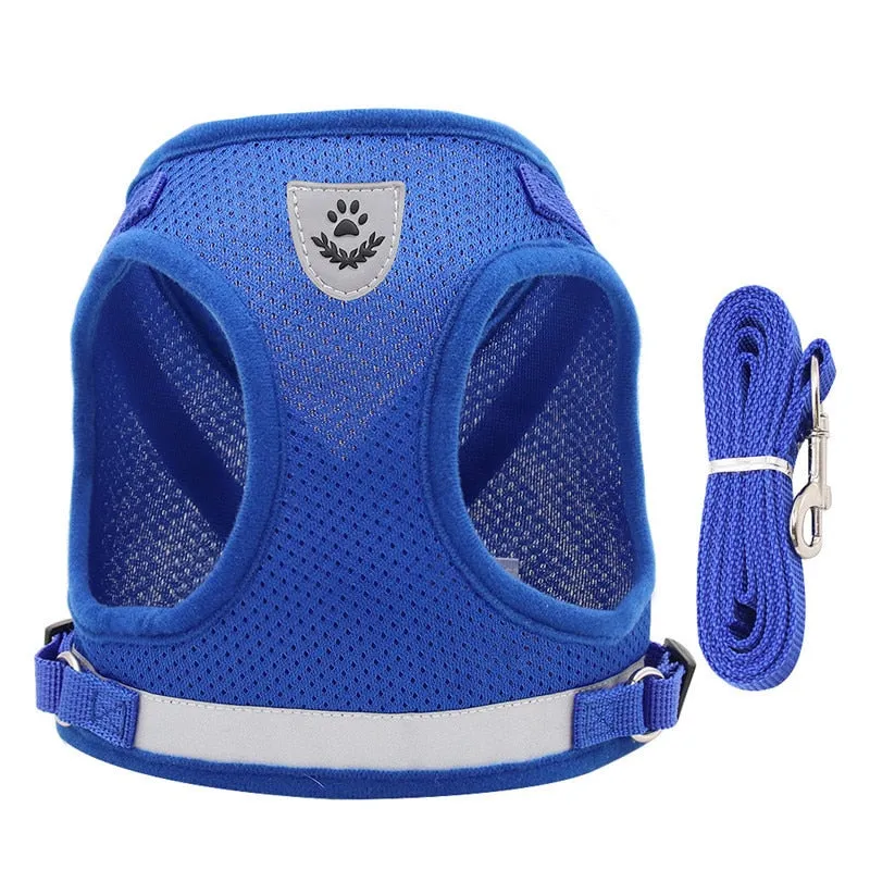 Escape-Proof Cat Harness & Leash Set