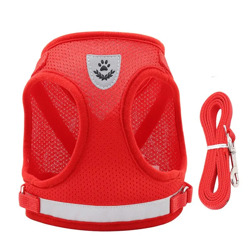 Escape-Proof Cat Harness & Leash Set
