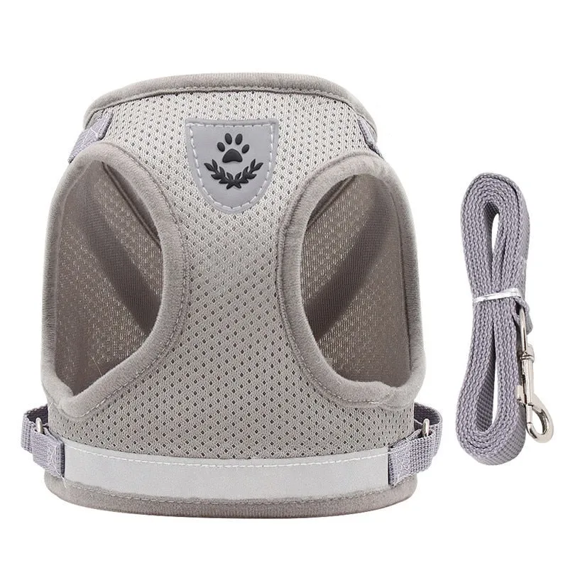 Escape-Proof Cat Harness & Leash Set