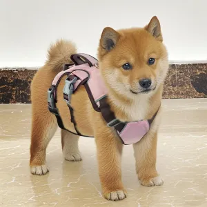 Escape Proof Dog Harness and Leash Set, No Pull Reflective and Adjustable Vest with Lift Handle, No Choke Breathable Soft Padded Full Body Pet Harness for Walking and Hiking (Pink, Large)