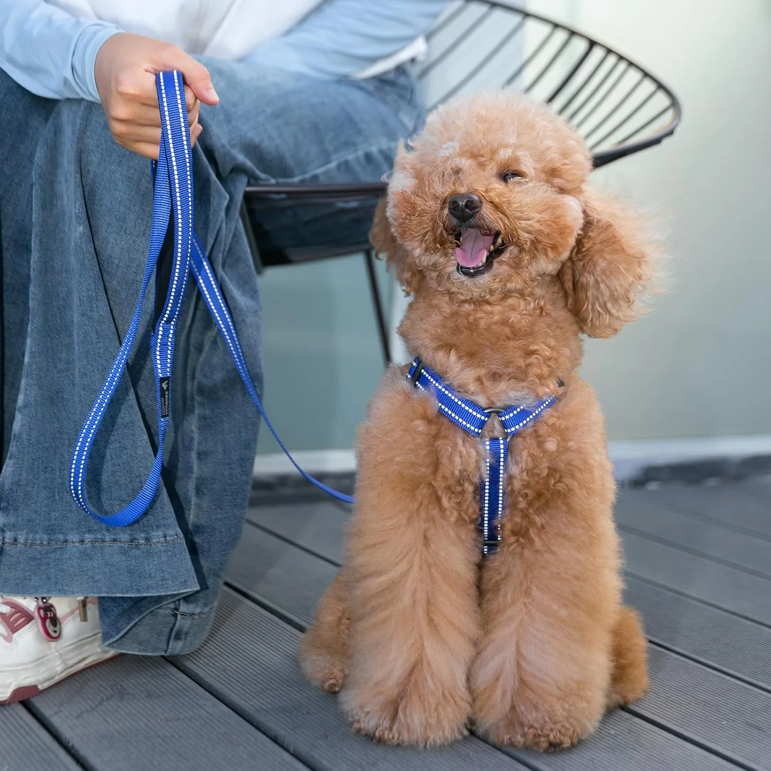 EXCELLENT ELITE SPANKER No Pull Dog Harness Reflective Nylon Vest L-Shaped Adjustable Easy Pet Harness for Small Medium Large Breeds Dogs Walking Training Black Red(Blue-XL)