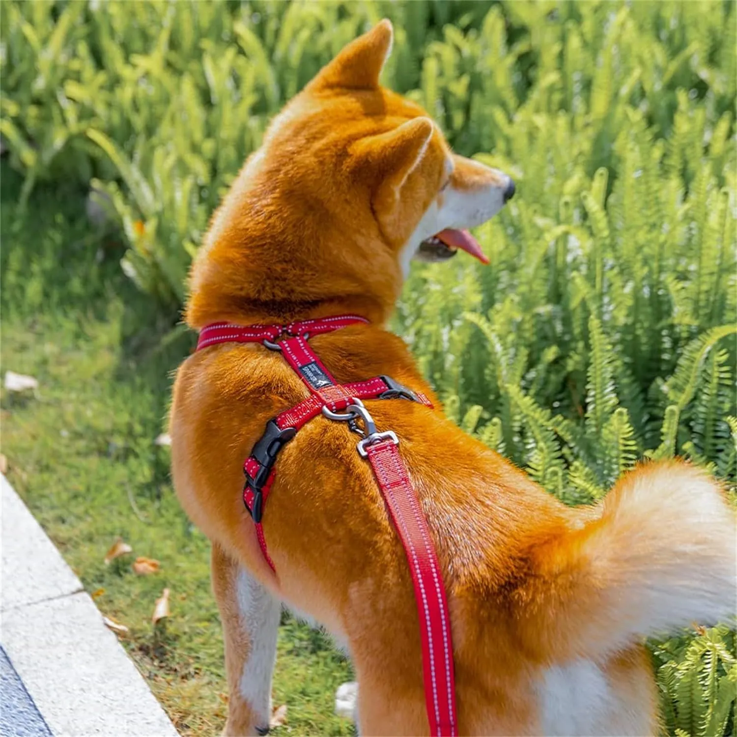 EXCELLENT ELITE SPANKER No Pull Dog Harness Reflective Nylon Vest L-Shaped Adjustable Easy Pet Harness for Small Medium Large Breeds Dogs Walking Training Black Red(Blue-XL)