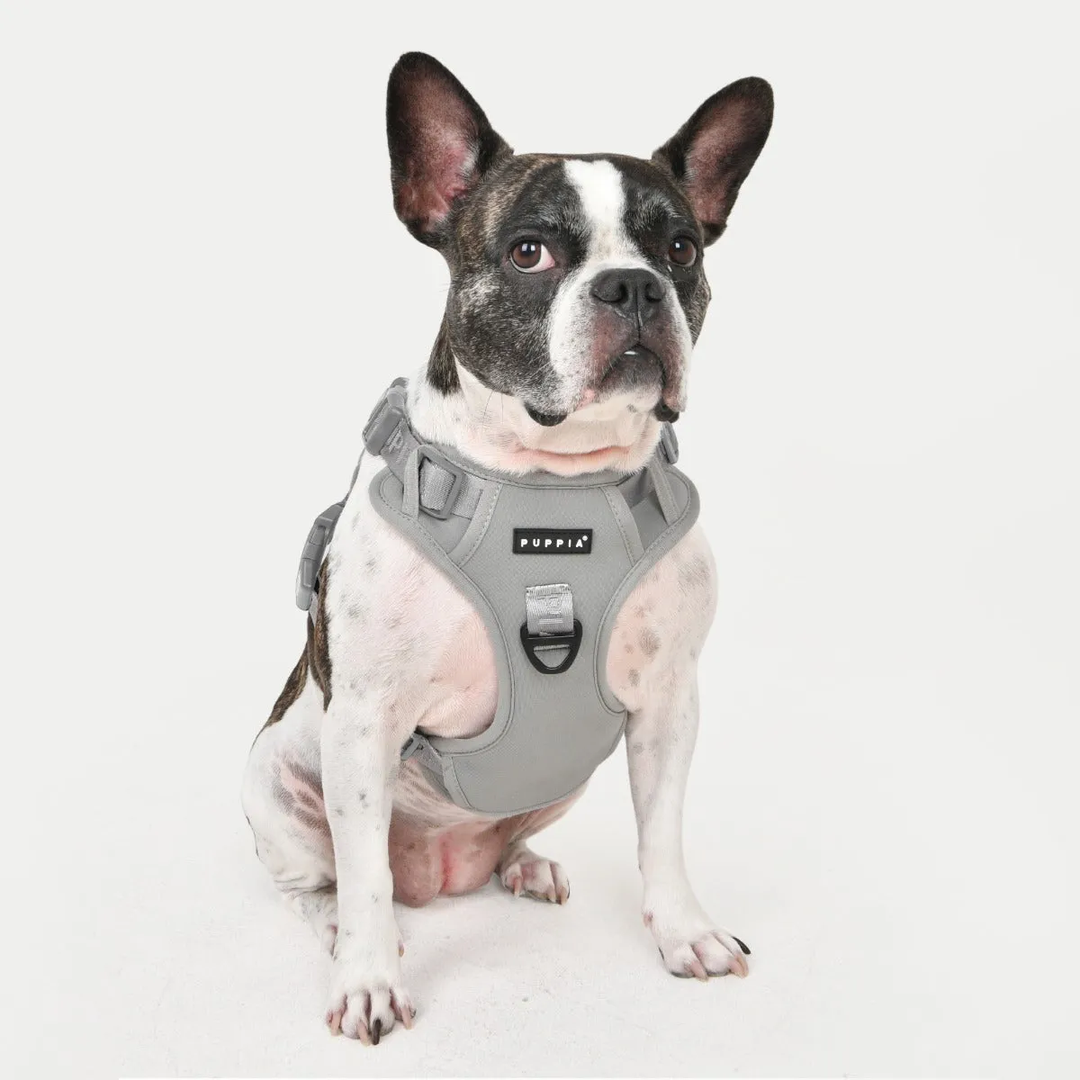 Front-Hook No-Pull Harness | Jarek Black