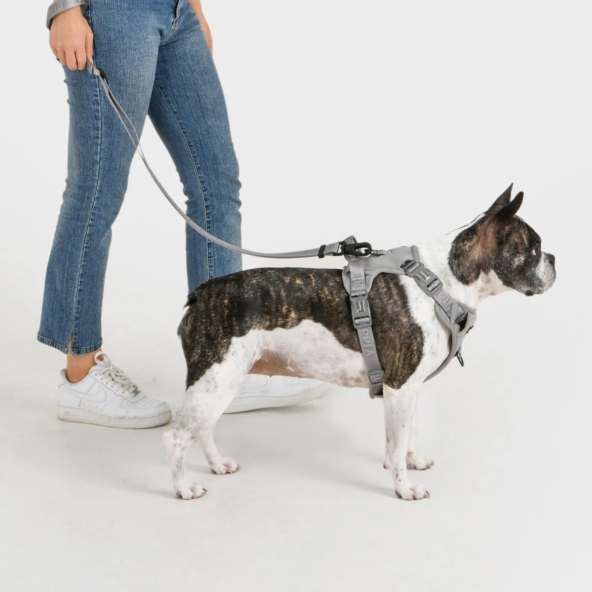 Front-Hook No-Pull Harness | Jarek Black