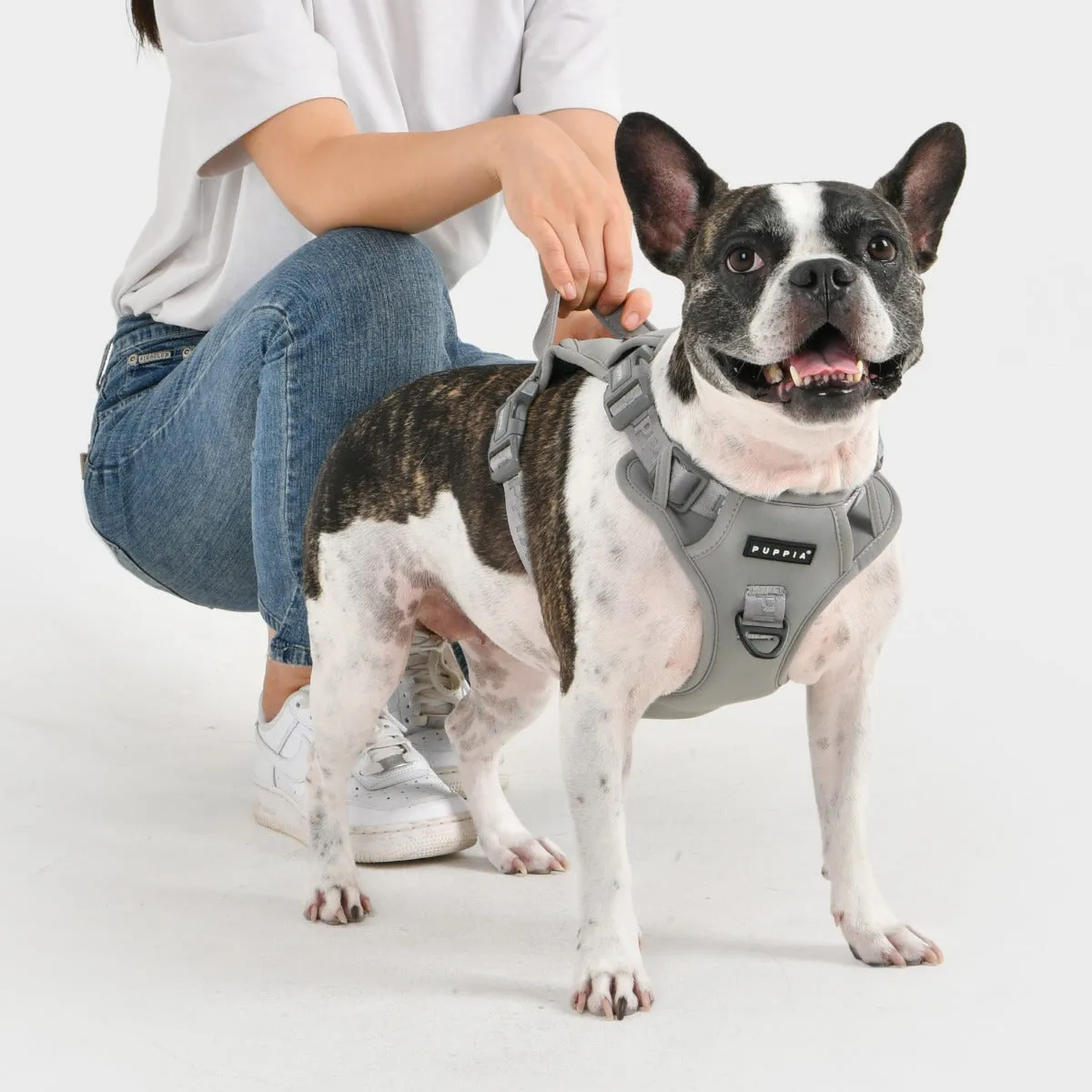 Front-Hook No-Pull Harness | Jarek Black
