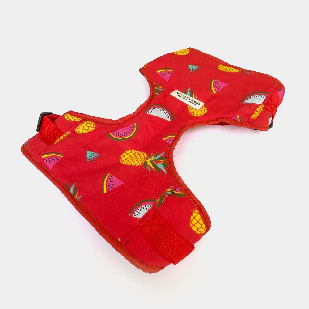 Fruit Punch Dog Body Mesh Harness