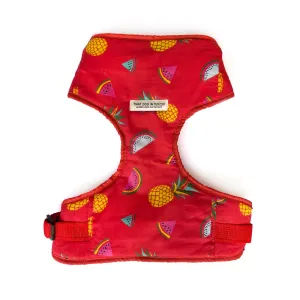 Fruit Punch Dog Body Mesh Harness