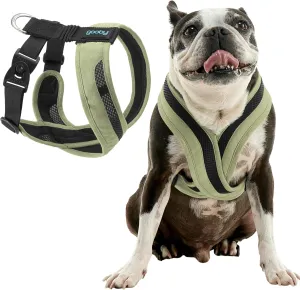 Gooby Comfort X One Dog Harness - Head-in Dog Harness for Small & Medium Sized Dogs - Escape-Free & Choke Free - Breathable Mesh, Shock Absorbing, Easy Snap & Swivel Buckles - Portland Green, X-Large
