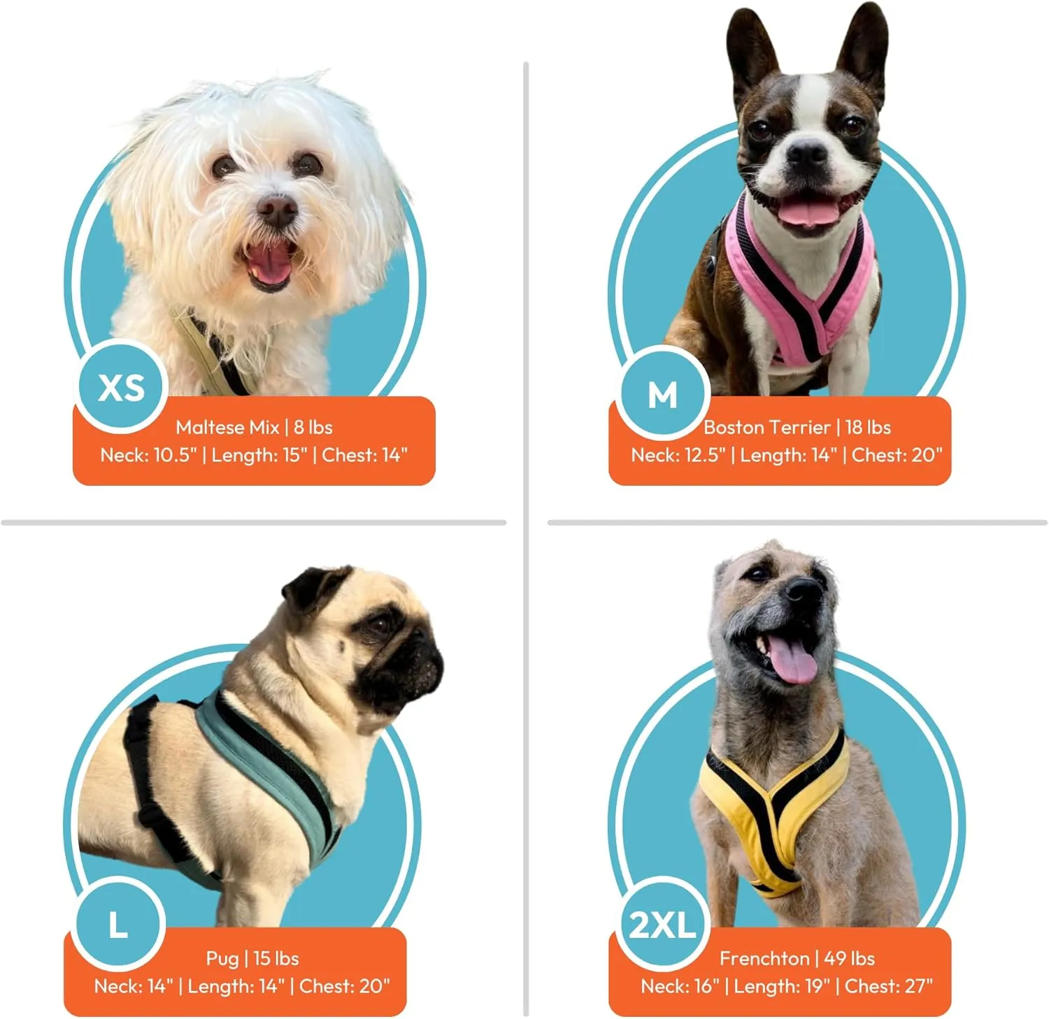 Gooby Comfort X One Dog Harness - Head-in Dog Harness for Small & Medium Sized Dogs - Escape-Free & Choke Free - Breathable Mesh, Shock Absorbing, Easy Snap & Swivel Buckles - Portland Green, X-Large