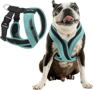 Gooby Comfort X One Dog Harness - Head-in Dog Harness for Small & Medium Sized Dogs - Escape-Free & Choke Free - Breathable Mesh, Shock Absorbing, Easy Snap & Swivel Buckles - Seattle Blue, X-Large
