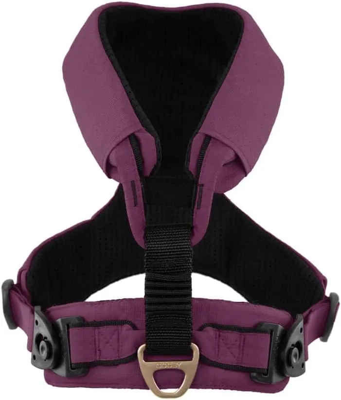 Gooby Lite Gear Z Harness - Scratch Resistant Ergonomic Harness with Shock Absorption - Head-in Harness for Small or Medium Dogs