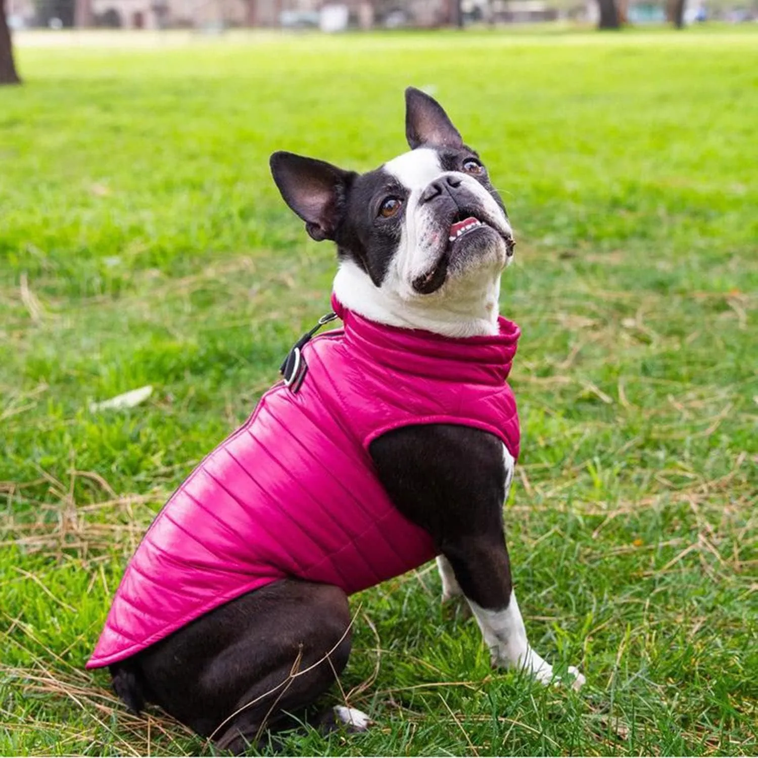 Gooby Puffer Vest Dog Jacket - Pink, Medium - Ultra Thin Zip Up Wind Breaker with Dual D Ring Leash - Water Resistant Small Dog Sweater Coat - Dog Clothes for Small Dogs Boy or Medium Dogs, (18")