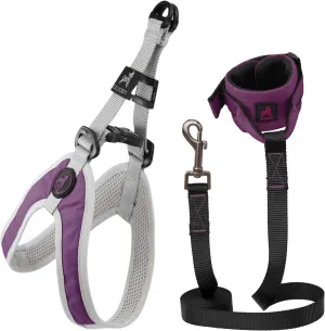 Gooby Simple Step in III Harness and Ripstop Z Wristband Surfer Leash Set-Purple, Medium, 6 FT-Scratch Resistant Harness with Soft Inner Mesh and Nylon Handsfree Leash for Small and Medium Dog