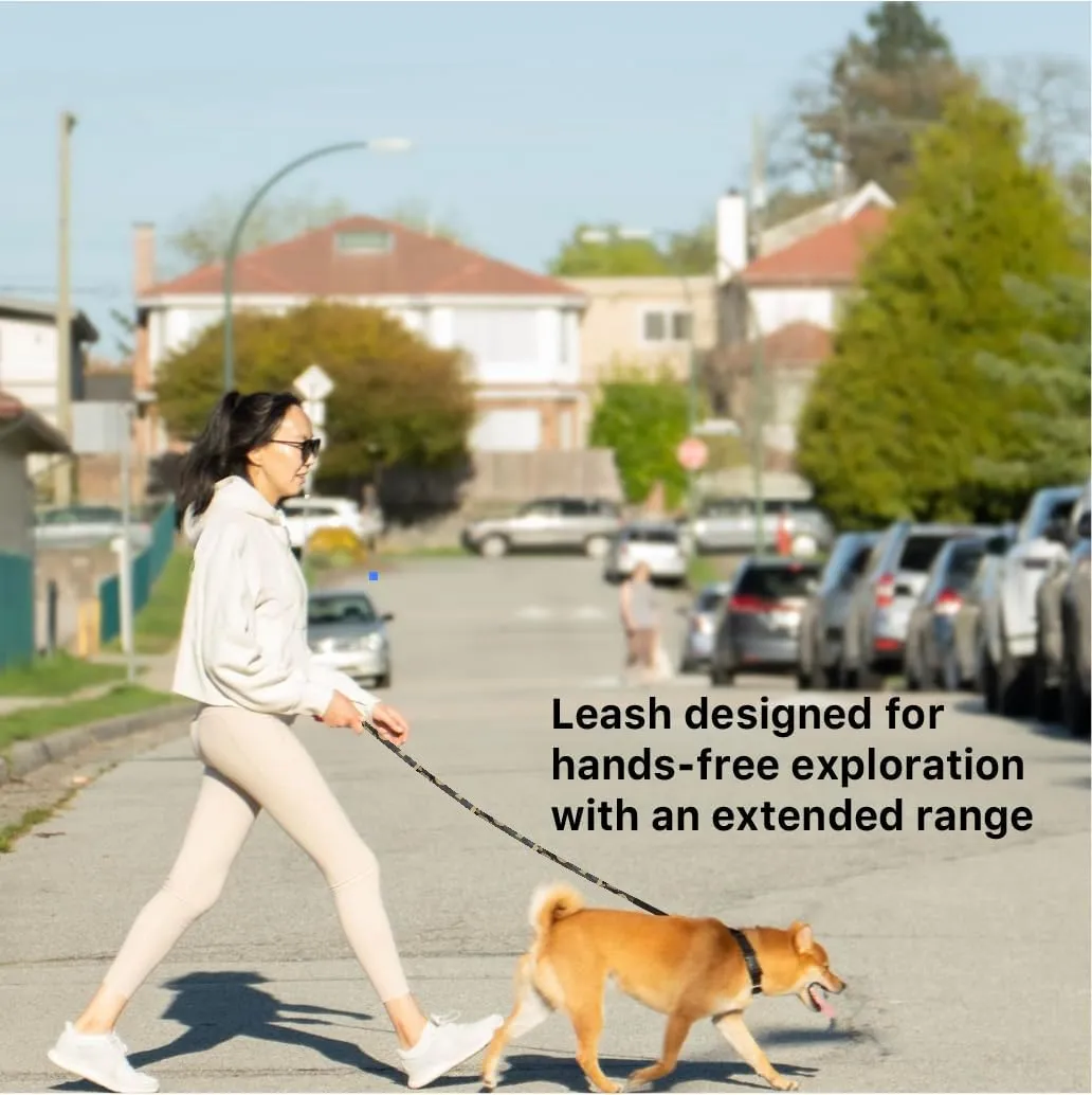 Heavy Duty Hands Free Dog Leash for Medium to Large Dogs for Comfortable Running Jogging Walking | Shock Absorbing Bungee | Soft Padded Handle | 360 Rotating Carabiner (Leash Length 6.5-7.8 ft)