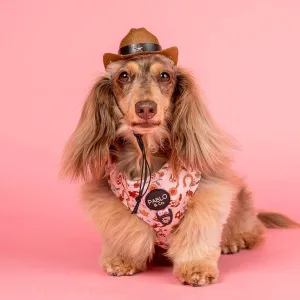 Howdy: Adjustable Harness