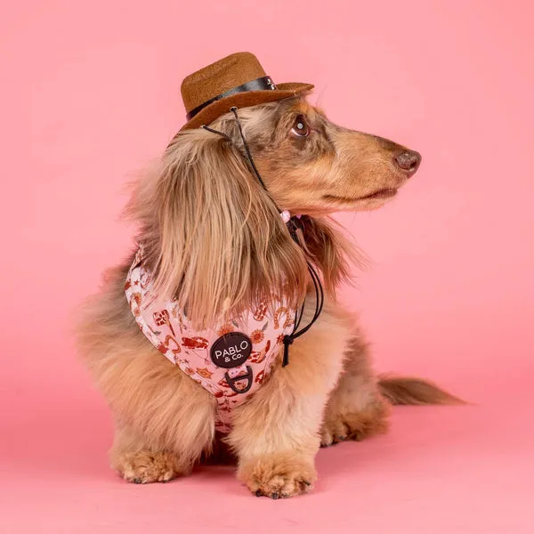 Howdy: Adjustable Harness