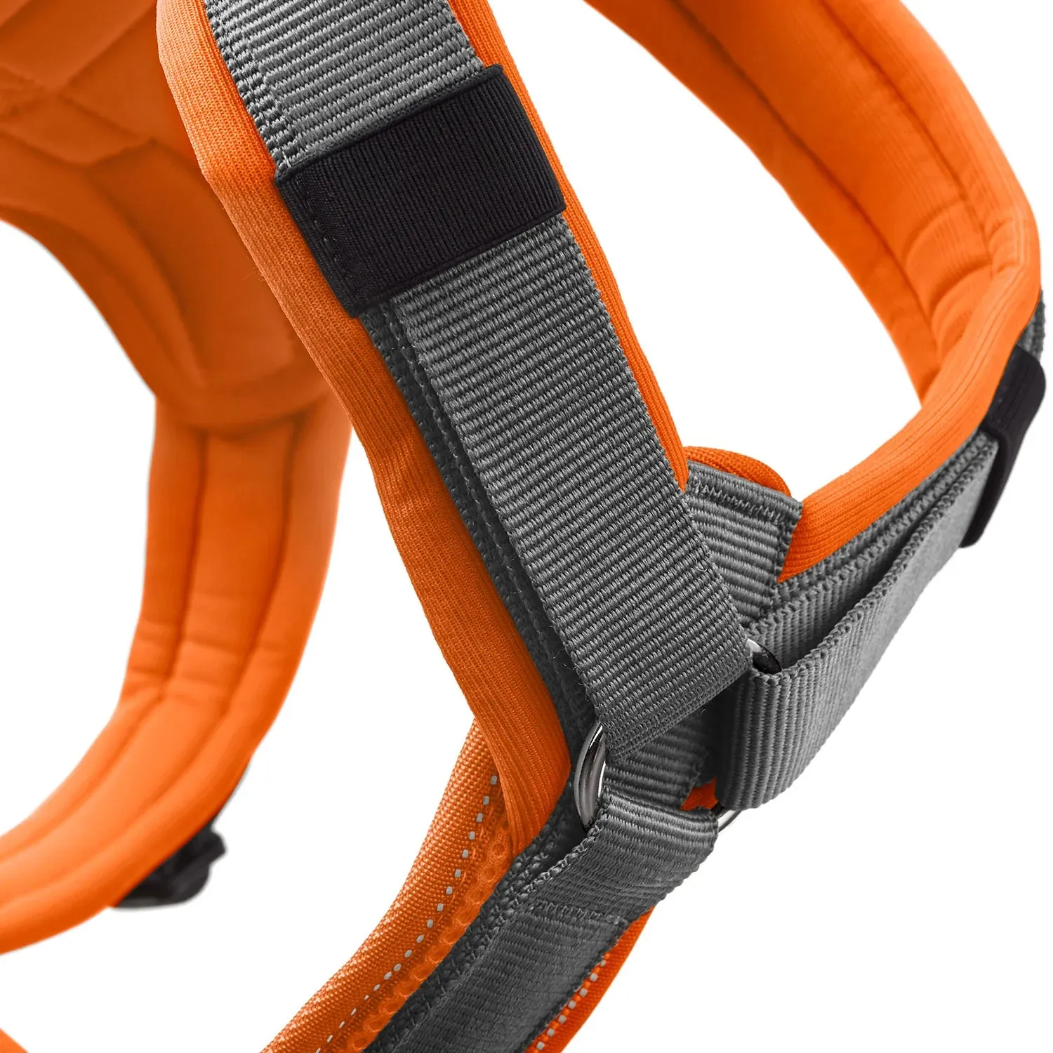Hunter Maldon Up Harness