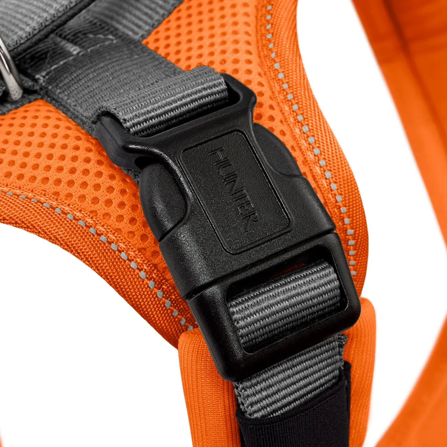 Hunter Maldon Up Harness