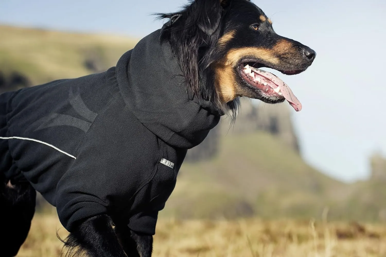 Hurtta Collection 8-Inch Micro Fleece Jumpsuit for Pets, Small, Black