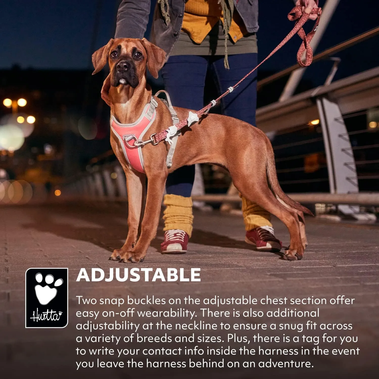 Hurtta Venture No-Pull Harness, Bilberry, 24-32 in