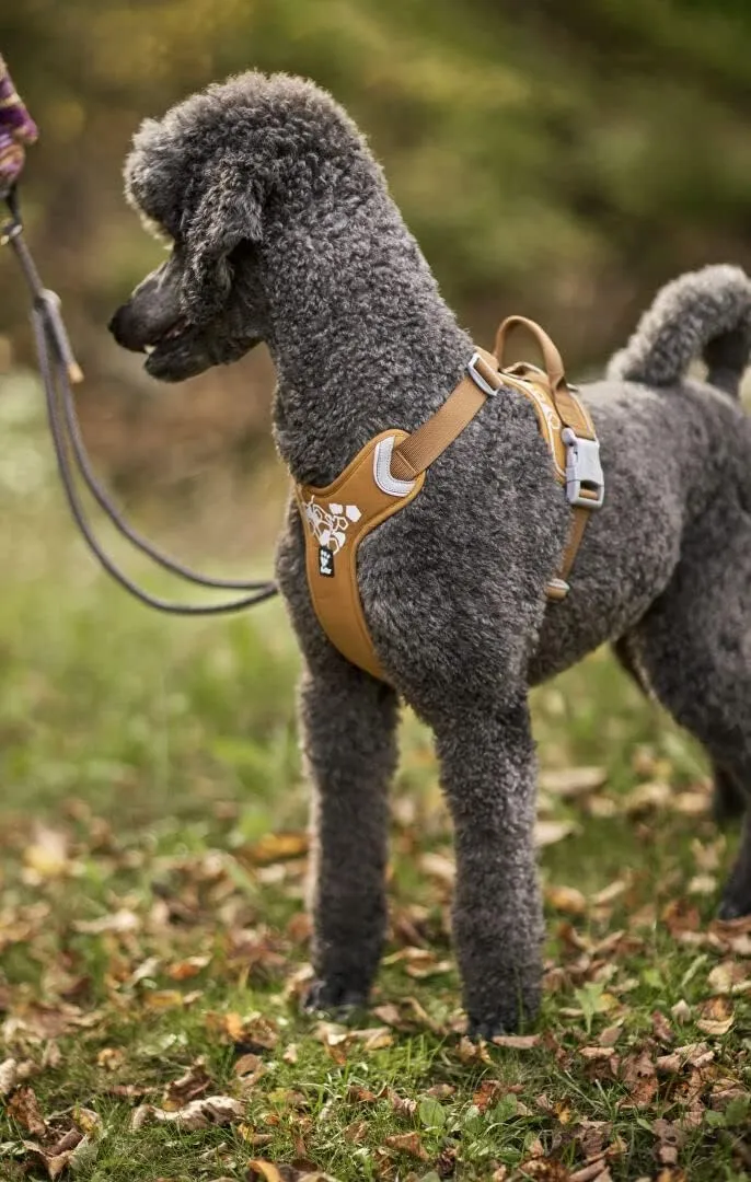 Hurtta Weekend Warrior Dog Harness, Desert, 16-18 in