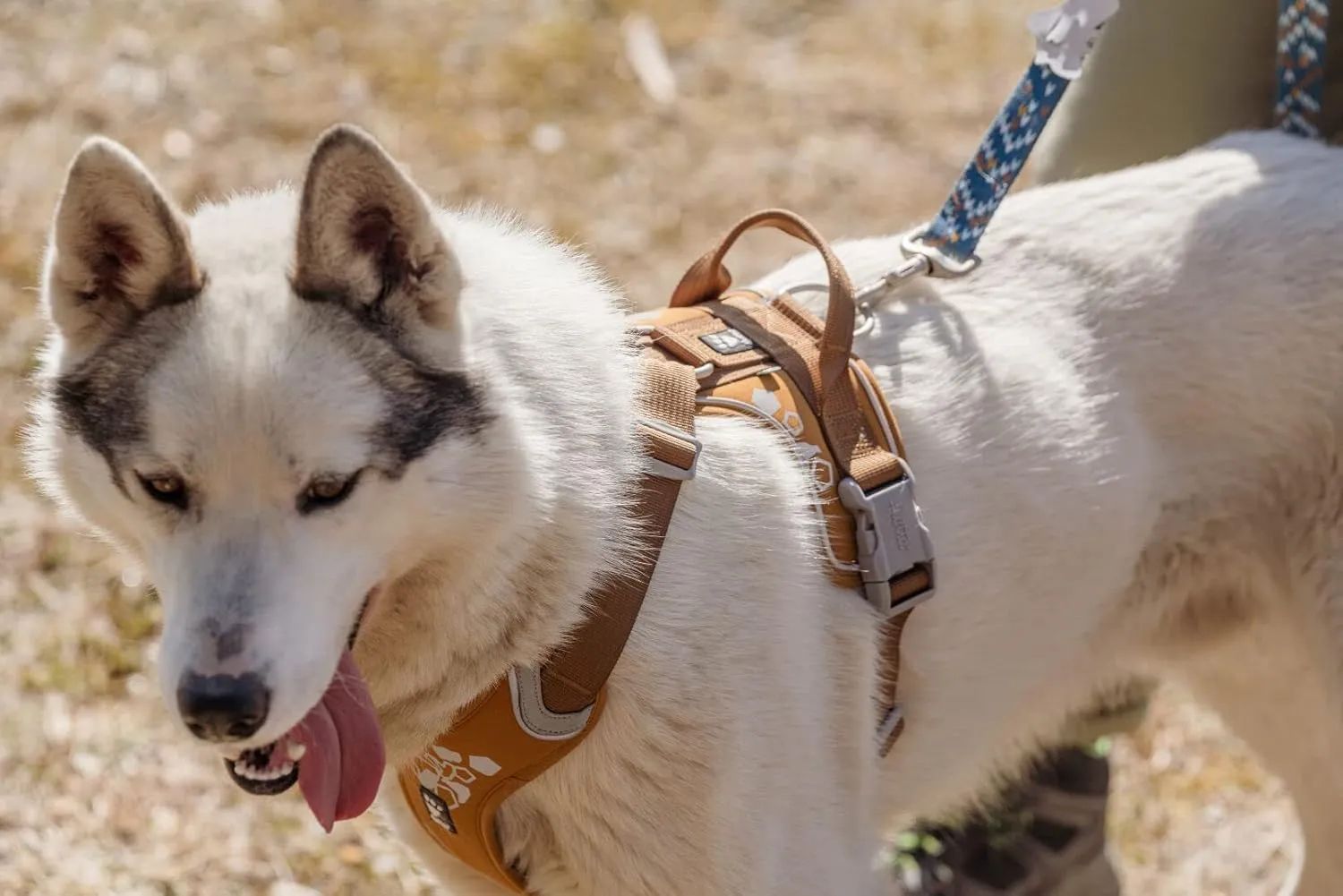 Hurtta Weekend Warrior Dog Harness, Desert, 16-18 in